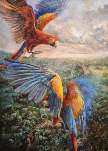 Wildlife