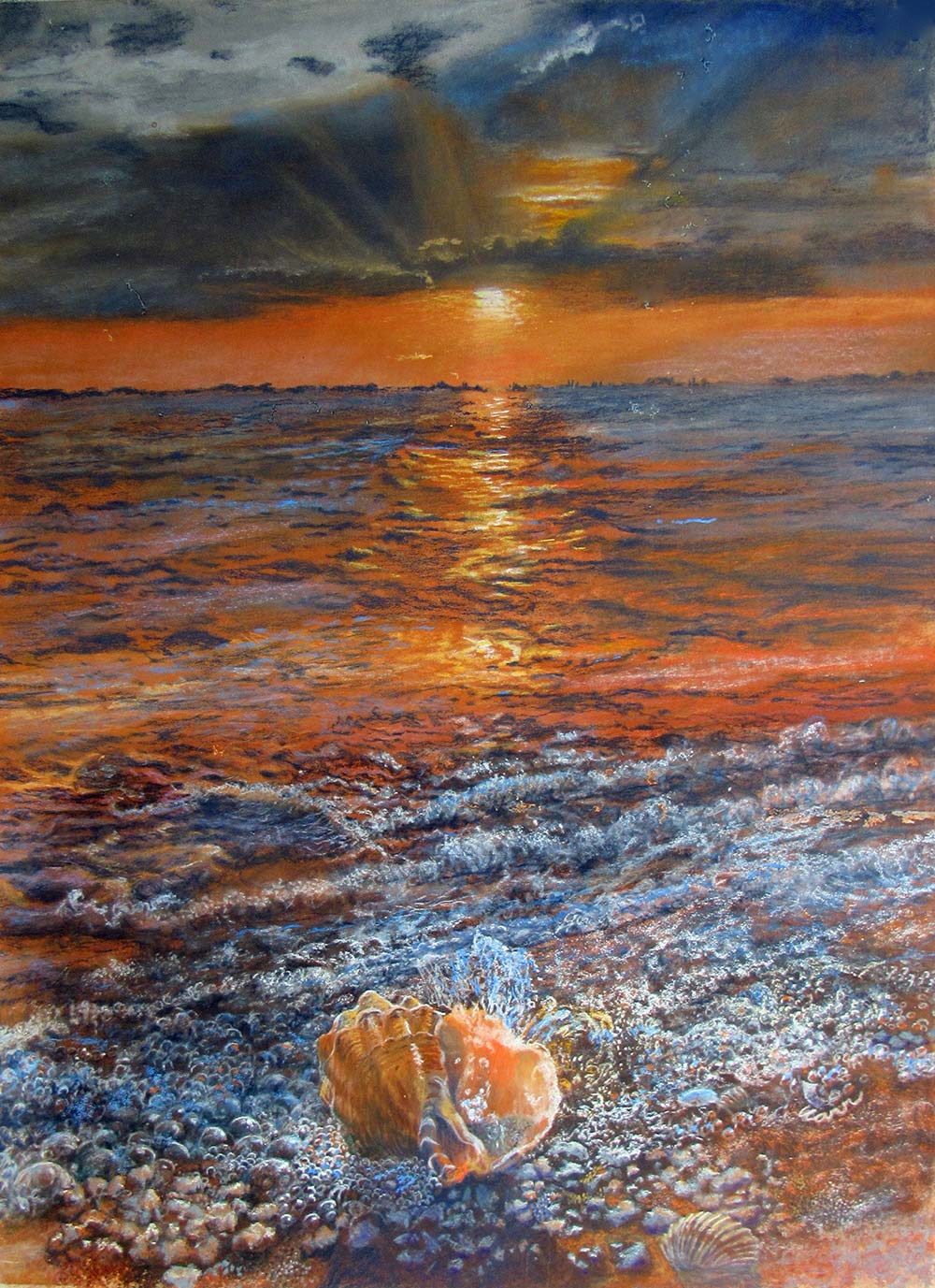 Conch Shell on beach at sunrise - Carolyn Carr