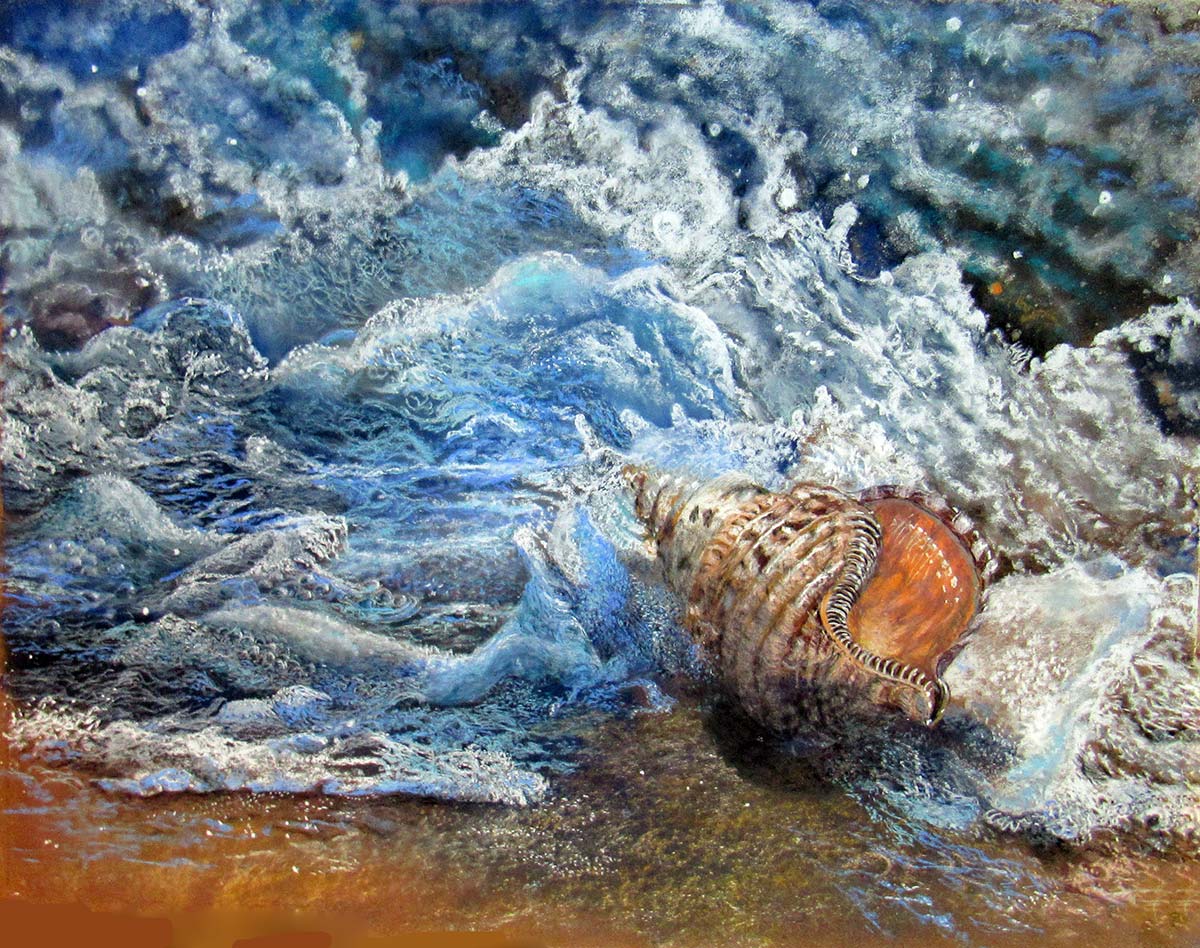 Conch Shell in the surf - Carolyn Carr